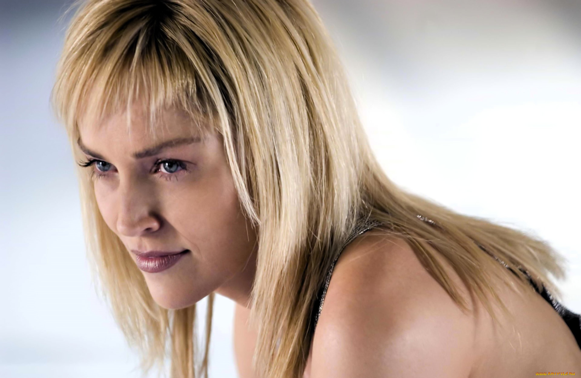  , basic instinct 2,  risk addiction, , , 